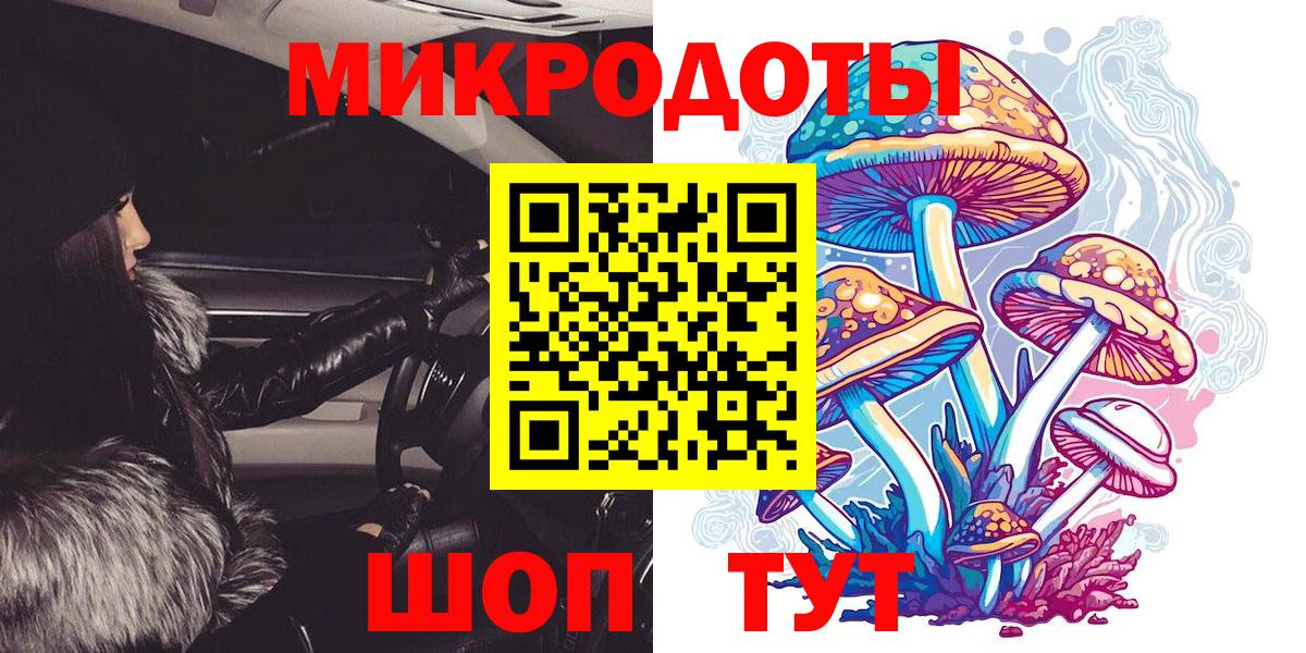 Галлюциногенные грибы Psilocybine cubensis Саянск