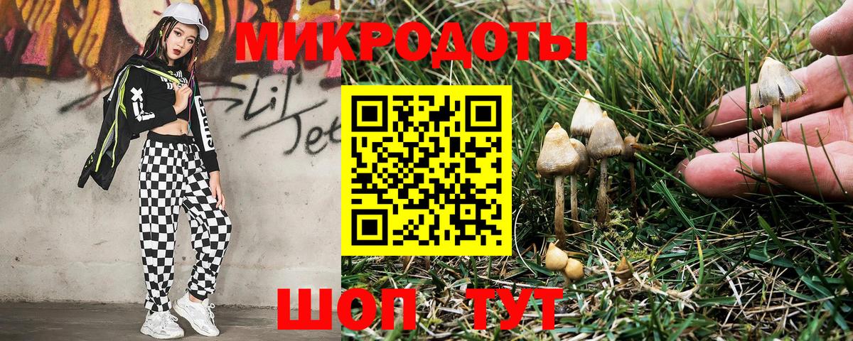Галлюциногенные грибы прущие грибы  Вход с VPN  Саянск  Галлюциногенные грибы мицелий 