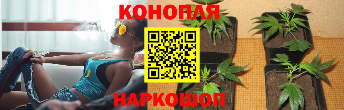Марихуана план Саянск
